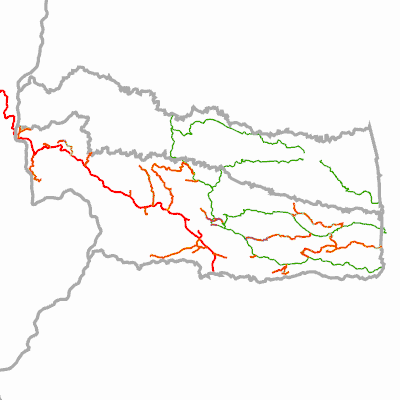 Export Image