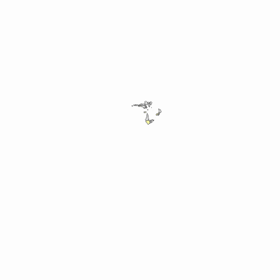 Export Image
