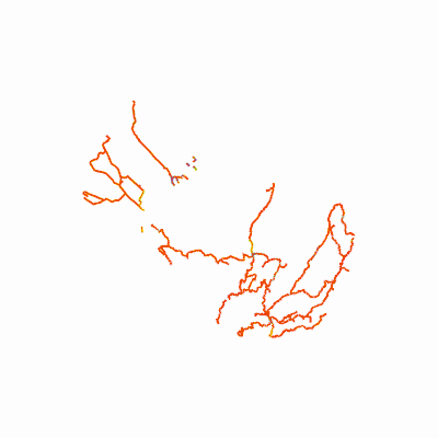 Export Image